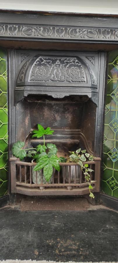 Adail Cottage アベリストウィス エクステリア 写真